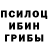 Псилоцибиновые грибы мухоморы Michel Amesz