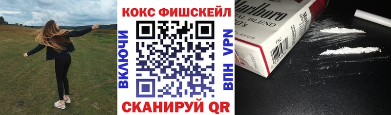 Купить закладки  Гай  Кокаин Fish Scale 